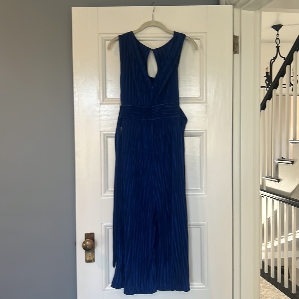 Blue Anthropology Marve Jumpsuit